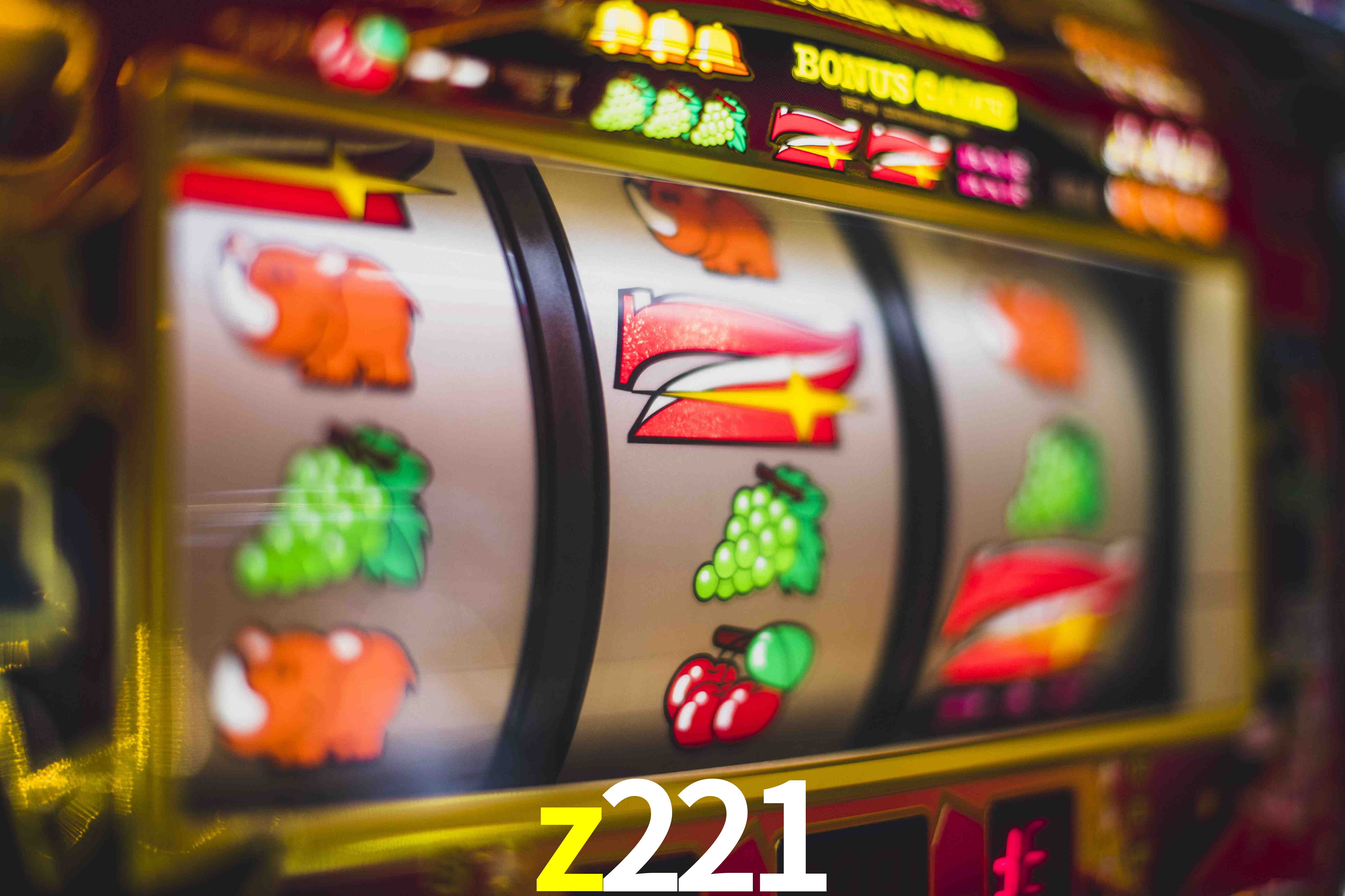 Welcome Bonus z221