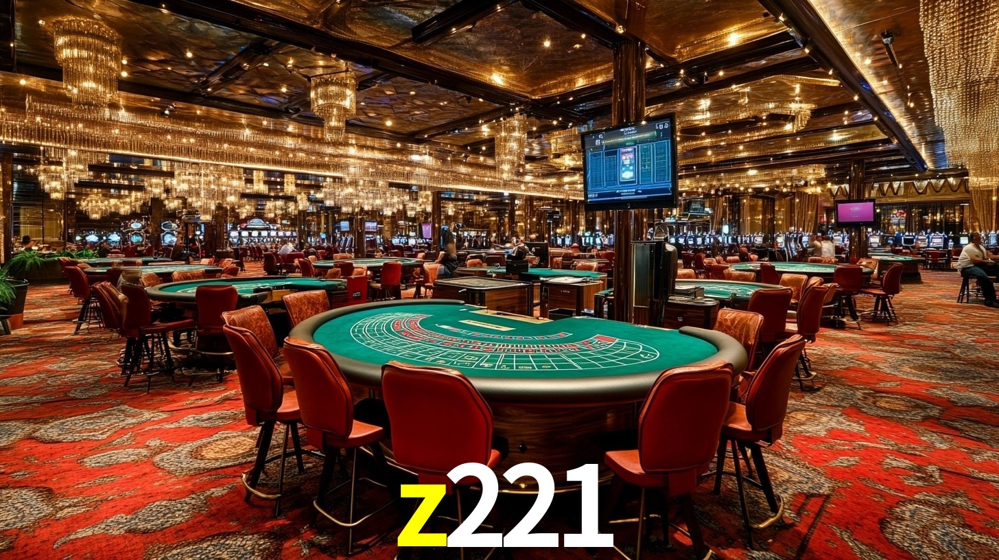 z221.com